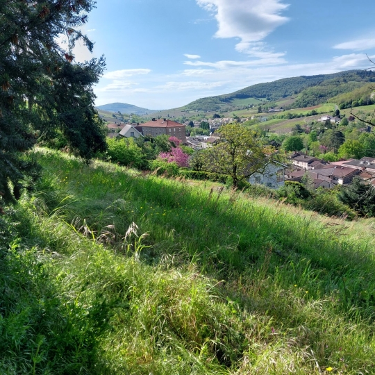  DUCASTEL IMMOBILIER : Terrain | BEAUJEU (69430) | 0 m2 | 50 000 € 