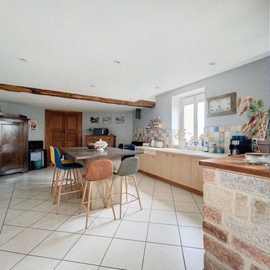  DUCASTEL IMMOBILIER : Maison / Villa | MACON (71000) | 235 m2 | 399 000 € 