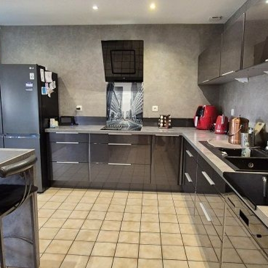 DUCASTEL IMMOBILIER : Maison / Villa | REPLONGES (01750) | 185.00m2 | 488 000 €  DUCASTEL IMMOBILIER : Maison / Villa | REPLONGES (01750) | 185.00m2 | 488 000 €